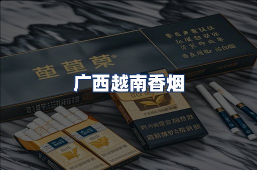 广西越南香烟